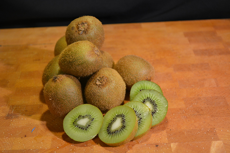 Kiwifruit (Actinidia deliciosa) at Roger's Gardens