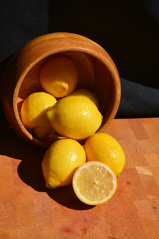 Improved Meyer Lemon (Citrus x meyeri 'Meyer Improved') at Roger's Gardens