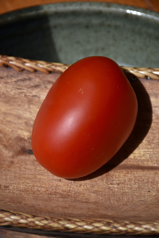 Mariana Tomato (Solanum lycopersicum 'Mariana') at Roger's Gardens